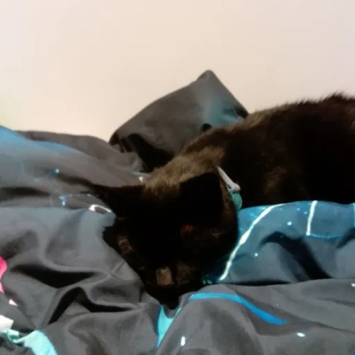creator catlovinLevi's avatar