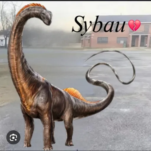 creator Nabbanmc's avatar