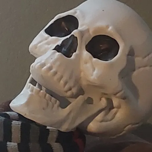 creator the Jokester-Boy's avatar
