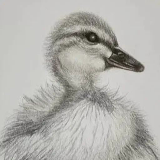 creator Ducky Duck 🐤's avatar