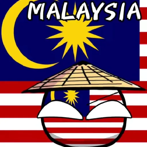 creator «‹Malaysia›»'s avatar