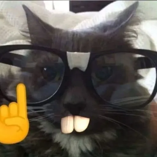 creator 🎀🍵Nerd cat>:3🍵🎀's avatar