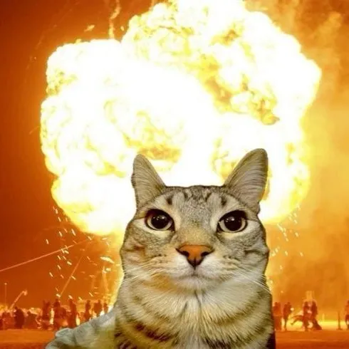creator mehmeh0's avatar