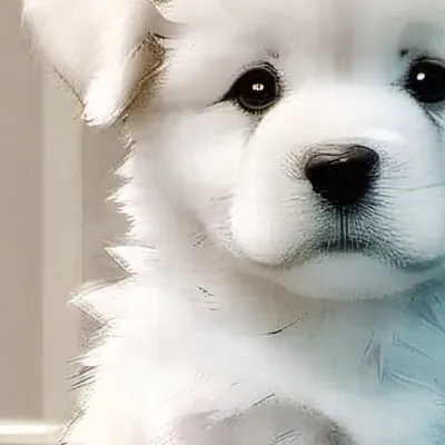 chat with ai character: Overweight puppy:(