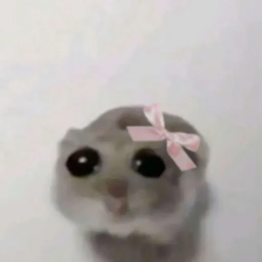 creator Cutie pie^^'s avatar