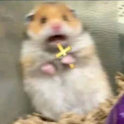 creator bananaxme's avatar