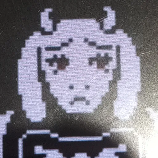 creator honeymoon 48's avatar
