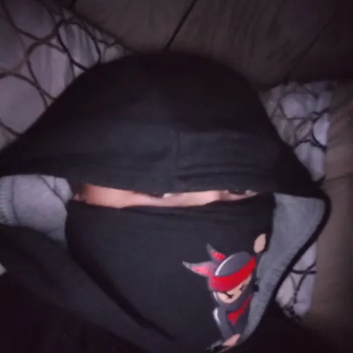 creator paidynj's avatar