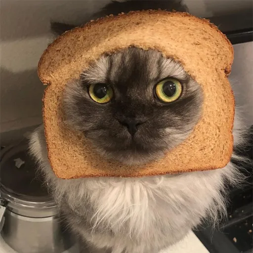 creator PotatoGod71938's avatar