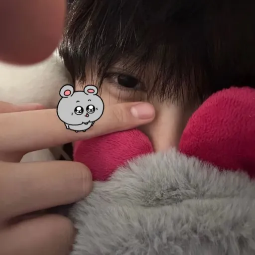 creator ୨ 𝓝𝗈𝗐𝗂 ୧'s avatar