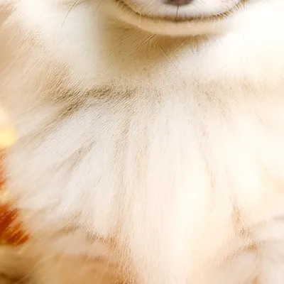 chat with ai character: Baby