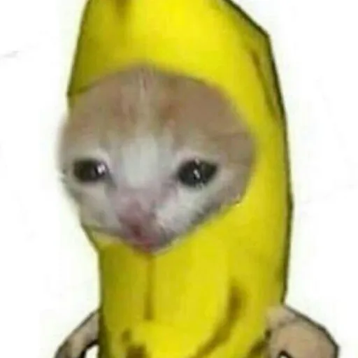 creator Mr banana 🐥🍌's avatar