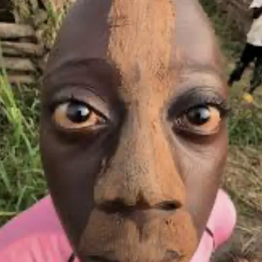 creator Skibidialphasigma@'s avatar