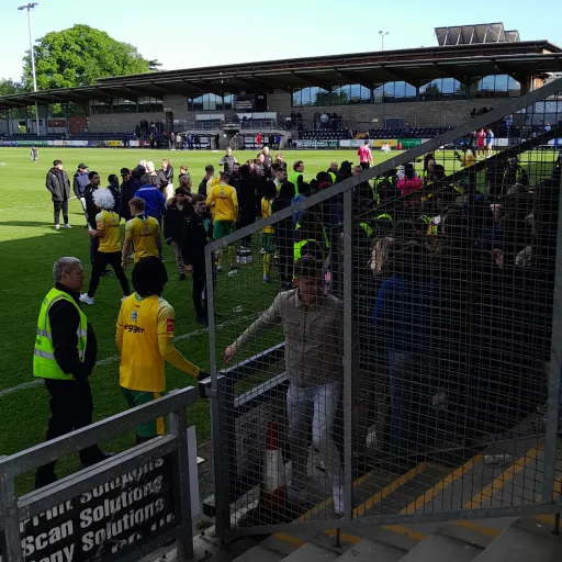 creator Dover athletics's avatar