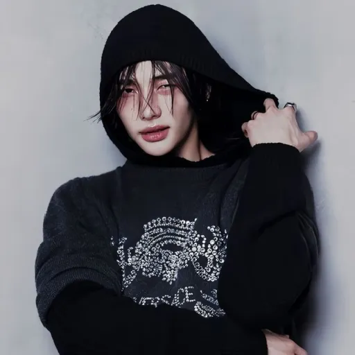 creator ★♡hyunjin:/★♡'s avatar