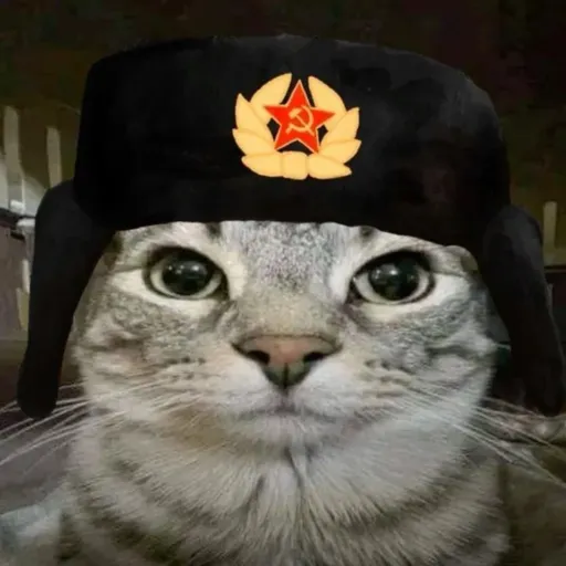 comment user avatar