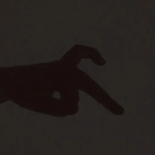 creator L1ght.'s avatar