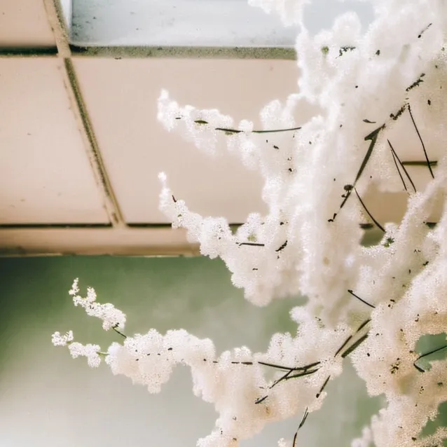 chat with ai character: MHA