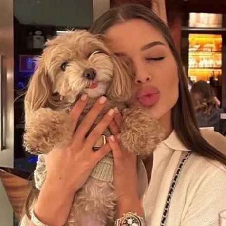 talkie's author avatar