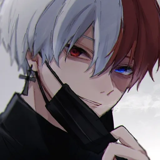 creator Shoto_Todoroki❄️🔥's avatar