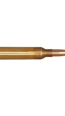ai character: Bullet background
