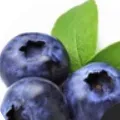creator Blueberry250's avatar