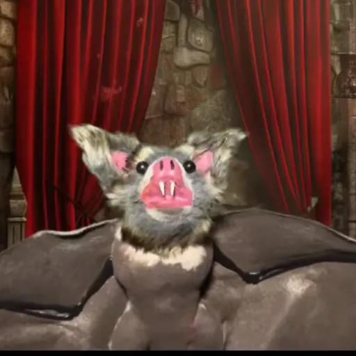 creator U-RWGZunHPYh0kS's avatar