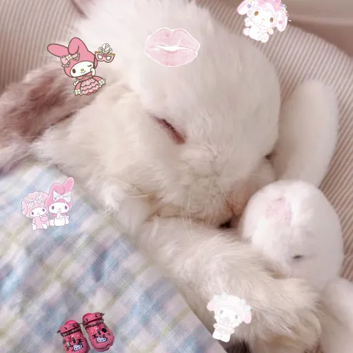 creator 🤍Bunnylover🩷's avatar