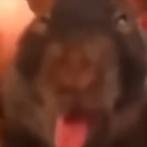 creator MOUSEY!'s avatar