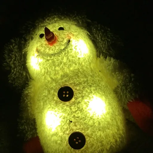 creator Glowing snowman's avatar