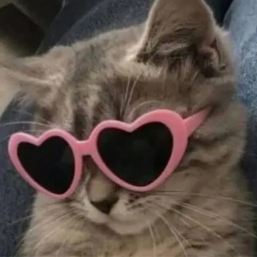 creator YkMimo's avatar