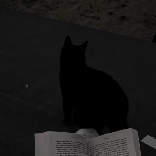 creator ♠ Hironoki ♦'s avatar