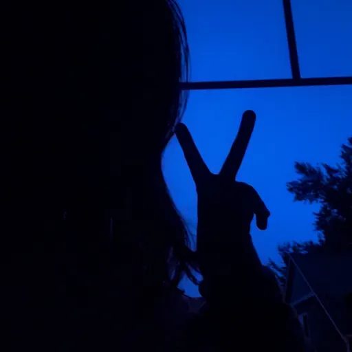 creator Yana_S's avatar