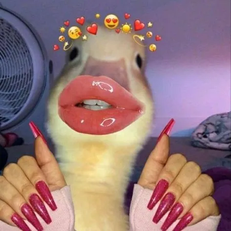creator YourLocalBuddyCO's avatar
