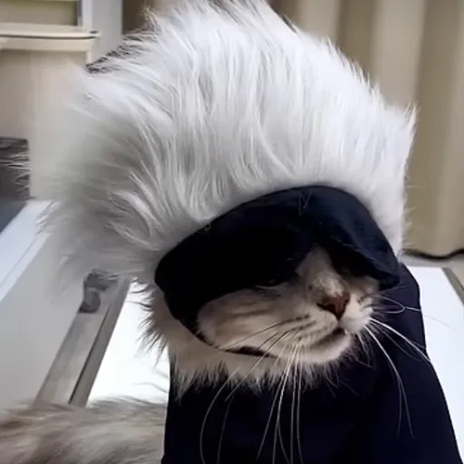 creator Gojo Catoru's avatar