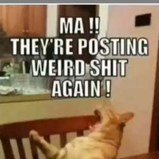 creator ma they post shit's avatar