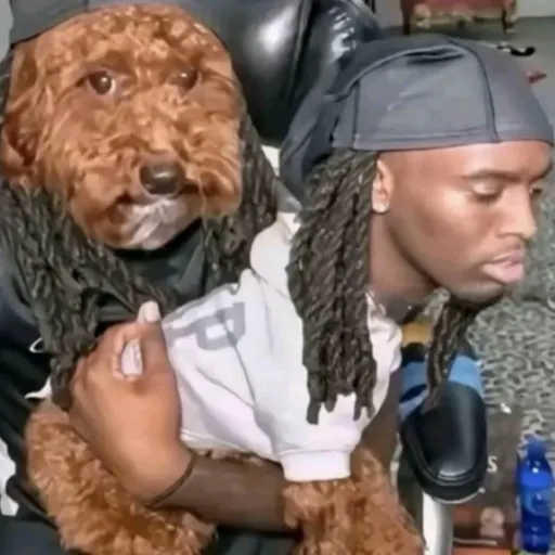 creator slp flesruoy llik's avatar