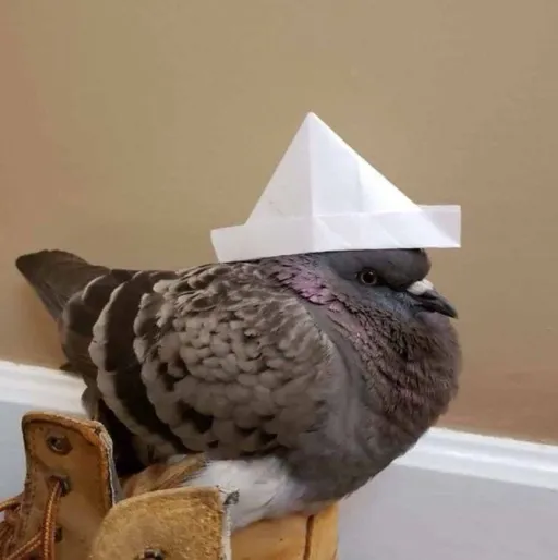 creator Pige0n's avatar