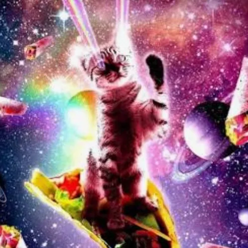 creator SPARKLE_BUGZ's avatar