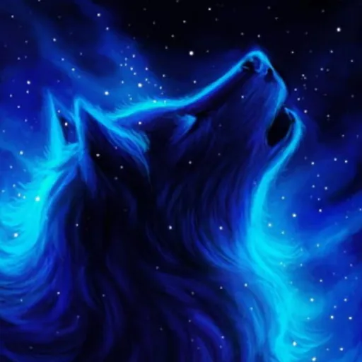creator Midnight!!!!!!!!!'s avatar