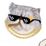 creator ur.girly's avatar