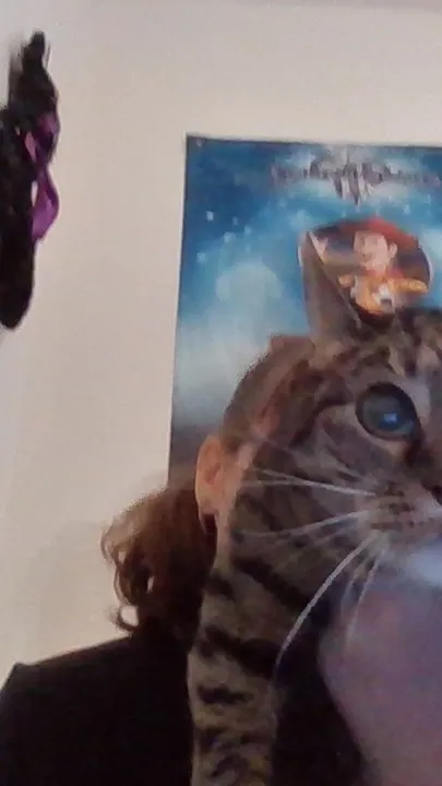 ai character: me and my cat background