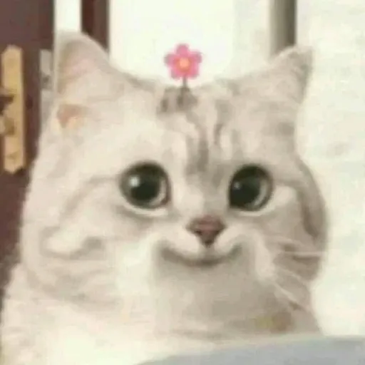 creator Yoonsúng.'s avatar