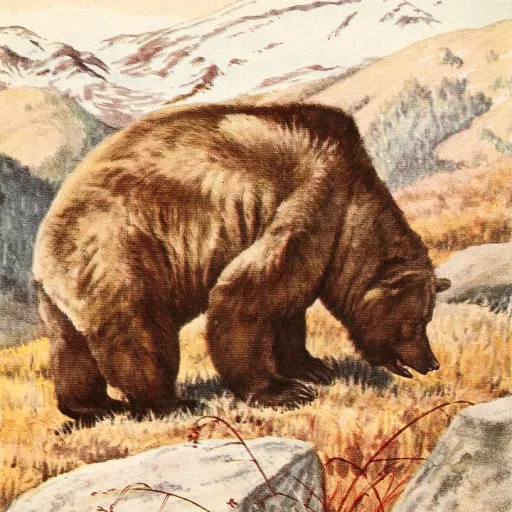 creator The Bear/killer's avatar
