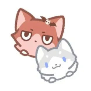 creator 慧心's avatar