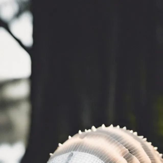 chat with ai character: Gomez