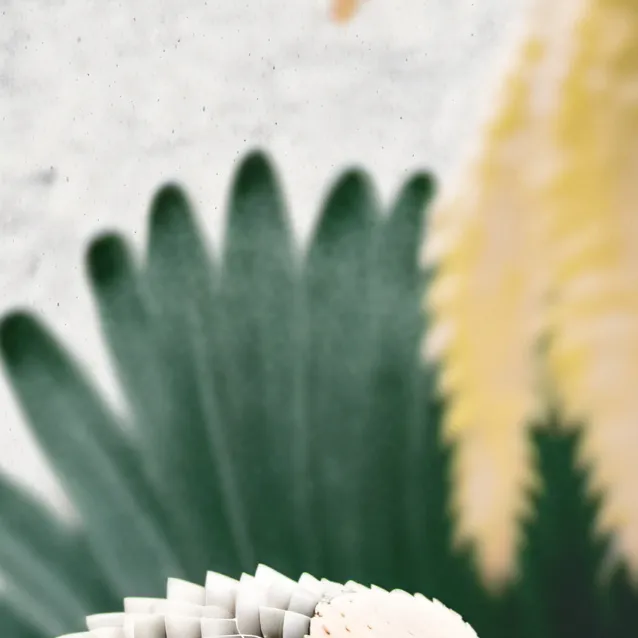 chat with ai character: Varl