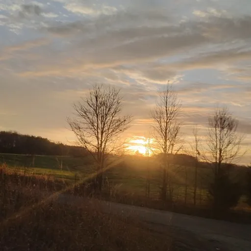 creator l🌊⛱️'s avatar