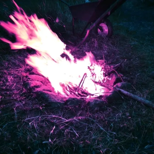 creator Hellhoundlover4920's avatar