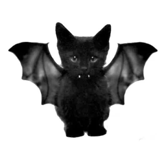 creator boynextdoor_'s avatar